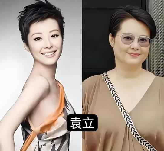 袁立事件与理性讨论 公众人物错误如何处理