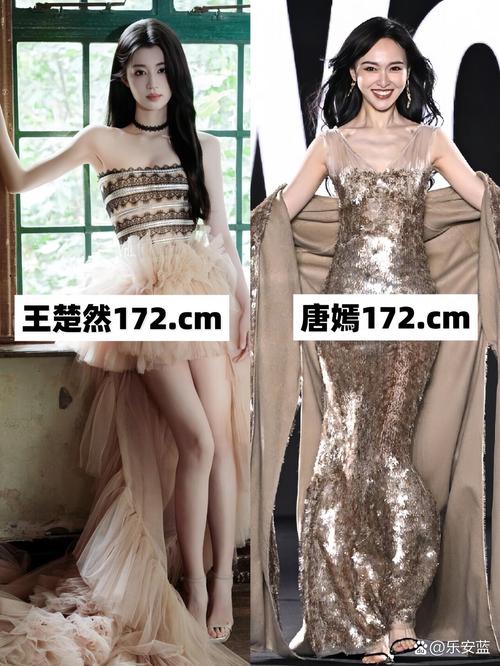 娱乐圈身高水分_娱乐圈身高_考证娱乐圈女星身高