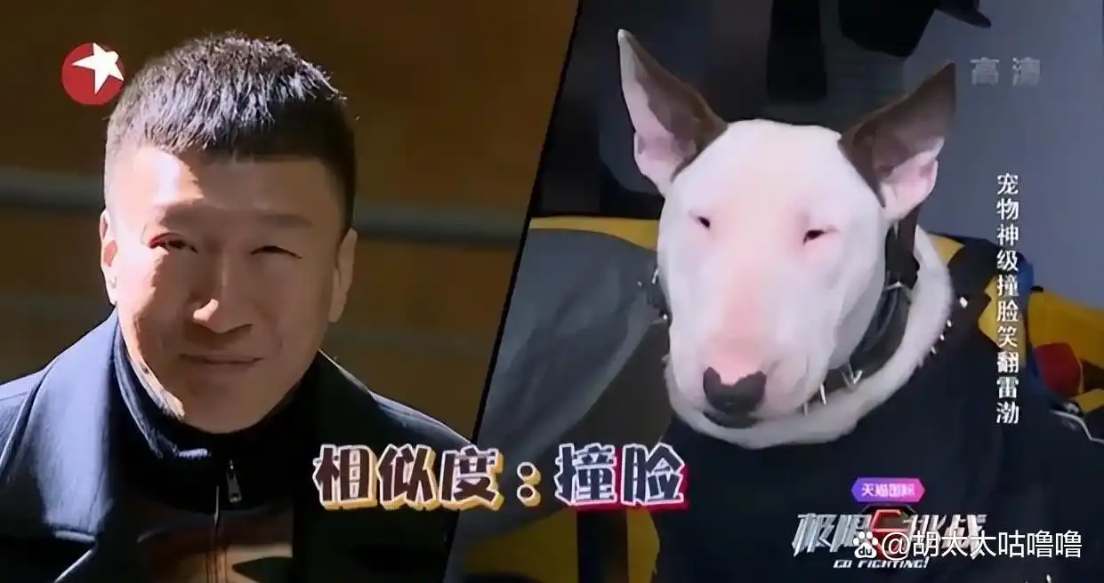 孙红雷贫穷家庭背景_孙红雷谈娱乐圈的故事_孙红雷狂妄言论原因